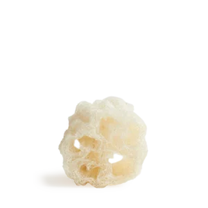 Cucurbita (Luffa) - Schwamm